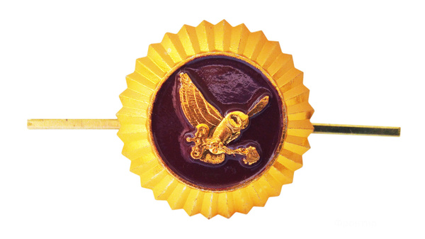 Кокарда Росгвардии купить по низким ценам в интернет-магазине OZON ...