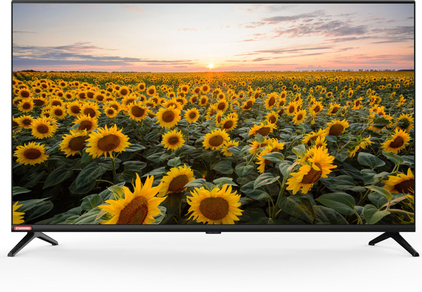 Купить телевизор STARWIND LED 40" SW-LED40BG200 черный_2523 озон 40 ...
