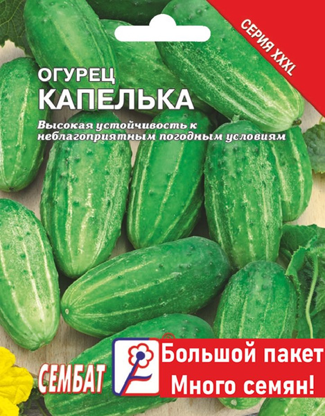 Огурцы Сембат Огурец XXXL - купить по выгодным ценам в интернет ...