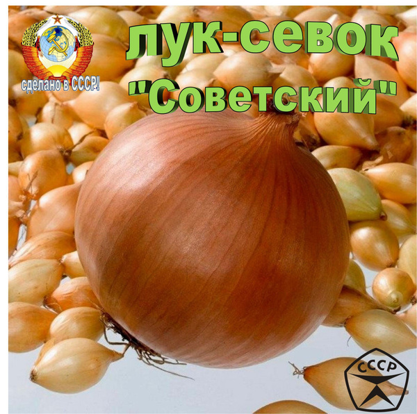 штутгартен ризен - купить по выгодным ценам в интернет-магазине OZON ...