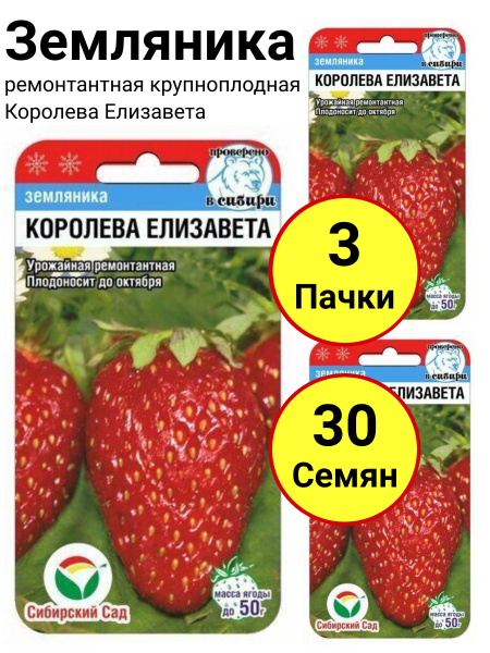 Земляника и клубника Сибирский сад Земляника ремонтантная крупноплодная ...