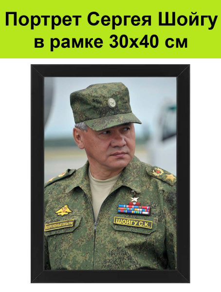 Портрет Сергея Шойгу в рамке 30х40 см / картина, постер, плакат Сергей ...