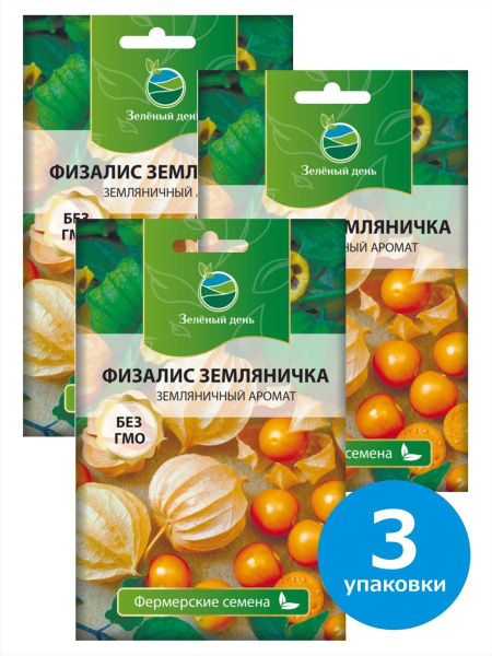 Физалис Зеленый день 928859-3 - купить по выгодным ценам в интернет ...