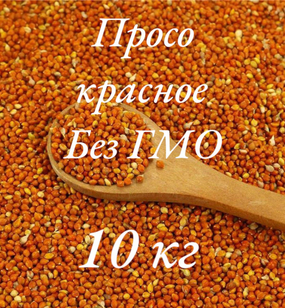 Просо красное купить на OZON по низкой цене (859445520)