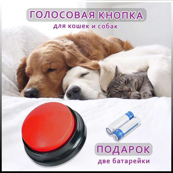 Кнопка для дрессировки собак с записью голоса и команд, интерактивная ...