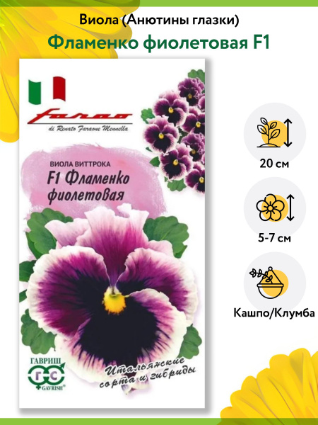 Виолы, анютины глазки Гавриш анютины глазки, виола ампельная, цветы ...
