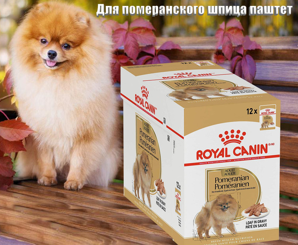 Влажный корм Royal Canin Pomeranian Adult для померанского шпица паштет ...