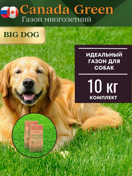 Газонные травы Canada Green Premium дог_2 - купить по выгодным ценам в ...