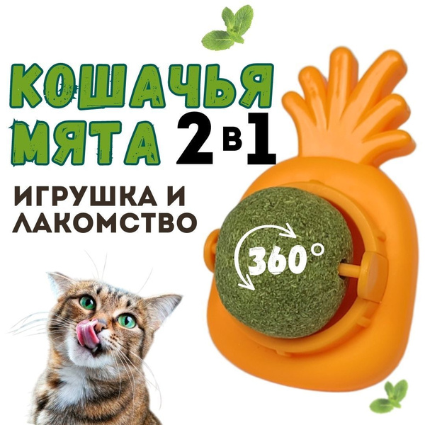 Кошачья мята шарик / шарик с кошачьей мятой на стену / игрушка ...
