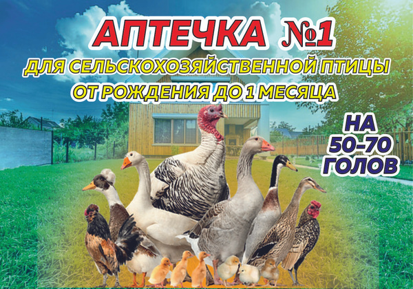 Аптечка №1 для цыплят для всех возрастов на 50 - 70 голов - купить с ...