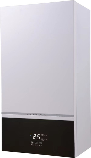 Газовый котел настенный двухконтурный HeatMaster - купить с доставкой ...
