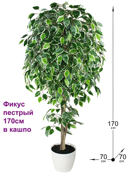 Искусственное дерево Фикус пестрый 170см в кашпо, ФитоПарк ...