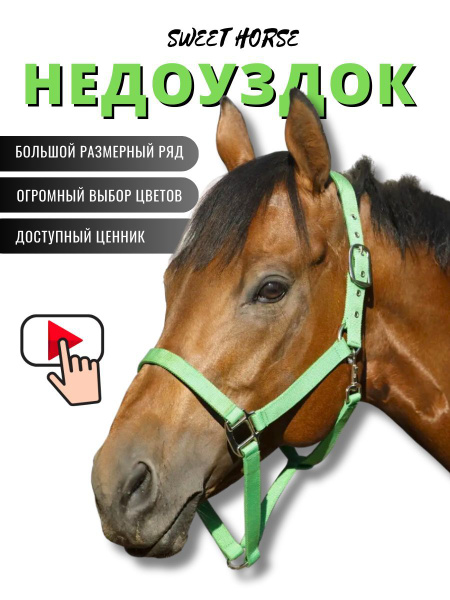 Sweethorse / Недоуздок для лошади и пони FULL - купить с доставкой по ...