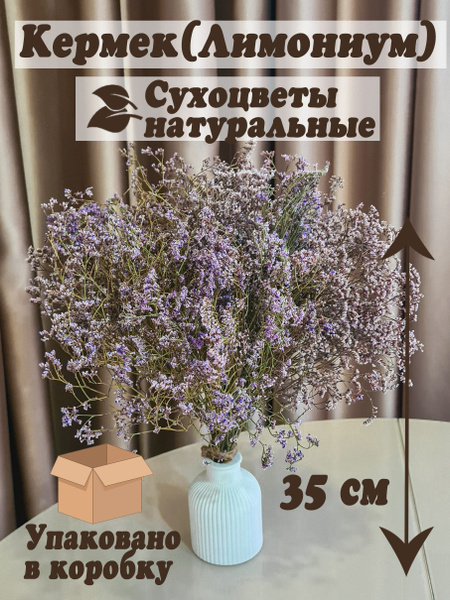 Букет из сухоцветов Домашний Очаг с любовью Лимониум, 35 см, 1 шт ...