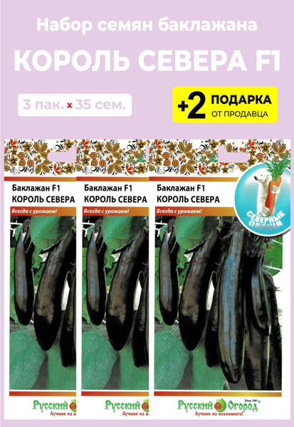 Баклажан Король севера: описание гибрида и рекомендации по выращиванию. Баклажан