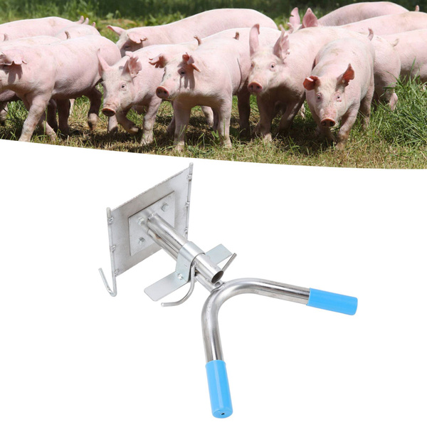 Стойка для кастрации поросят - купить с доставкой по выгодным ценам в ...