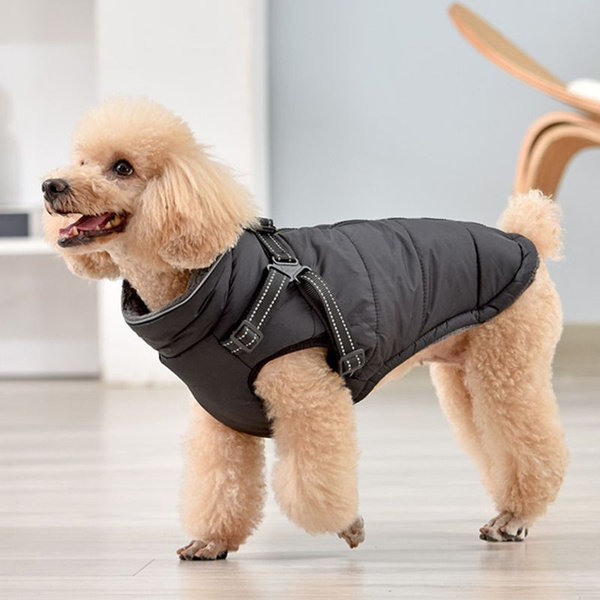 Зимняя теплая куртка с хлопчатобумажной подкладкой для собак малого и ...
