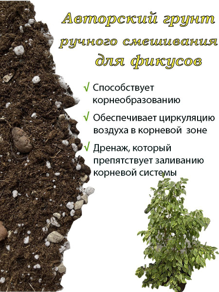 Авторский грунт для фикусов, 2 литра - купить по низкой цене в интернет ...