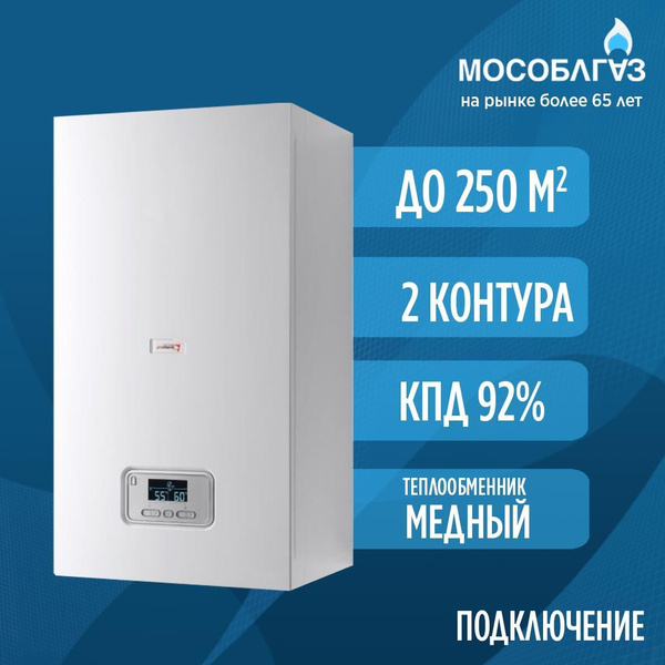 Газовый настенный котел Protherm Пантера 25 KTV (Двухконтурный) - 25 ...