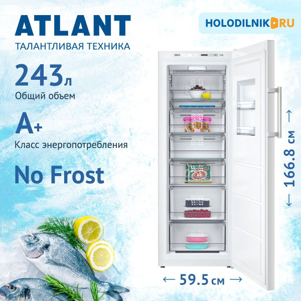 Морозильная камера ATLANT Атлант-7605-100 N по низкой цене: отзывы ...