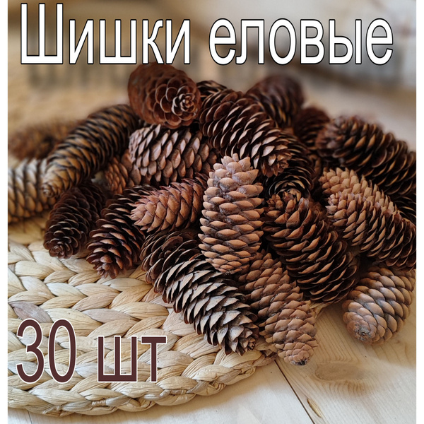 Шишки Еловые для декора и поделок, 30 шт. - купить по выгодной цене в ...