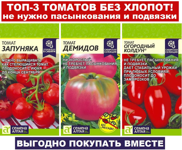 Томаты Семена Алтая Семена суперурожайных томатов: Цыпочка и Запуняка - купить п