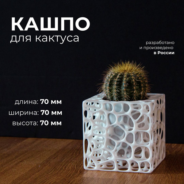 Кашпо для суккулентов, горшок для кактуса - купить с доставкой по ...