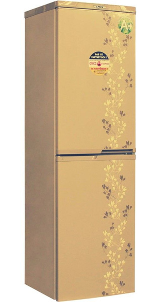Холодильник DON R 296 золотой цветок (ZF), золотой - купить по ...