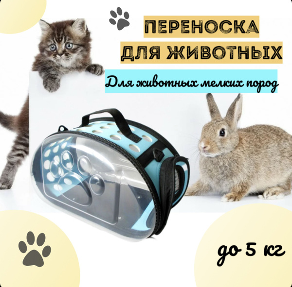 Переноска для животных мелких пород прозрачная воздухопроницаемая сумка ...