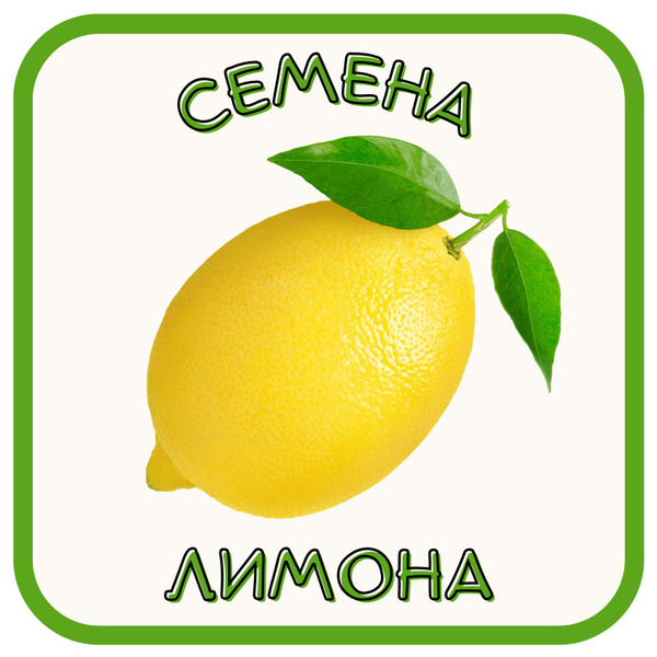 Лимон комнатный Богатырчики_желтый - купить по выгодным ценам в ...