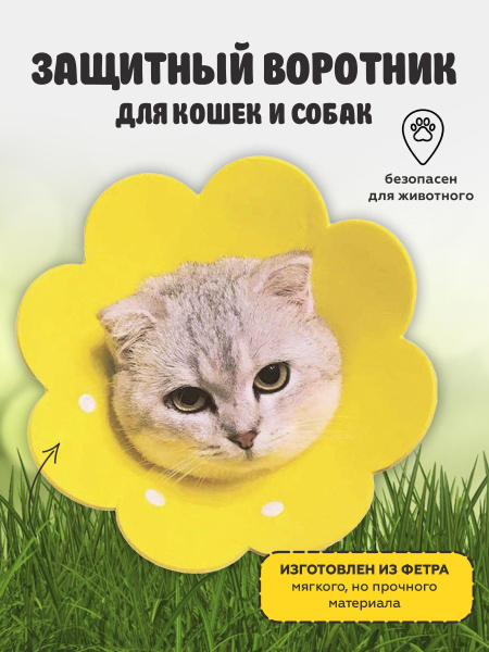 Защитный ветеринарный воротник для кошек и маленьких собак воротник ...