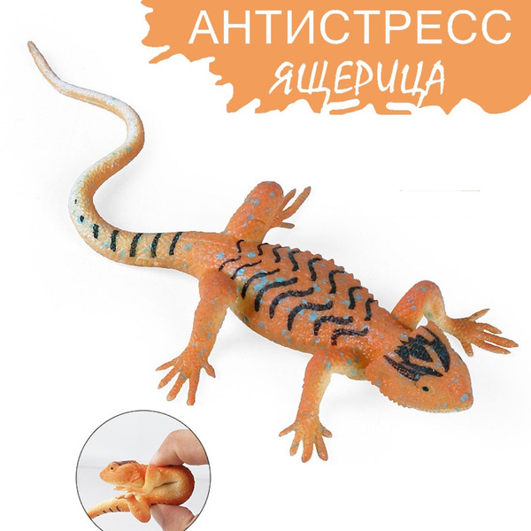 Игрушка антистресс для рук мялка Ящерица Мадагаскарская / Тянучка ...