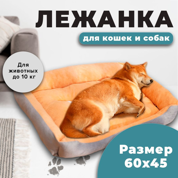 Лежанка - кровать с бортиками для животных: кошек и собак, серо ...