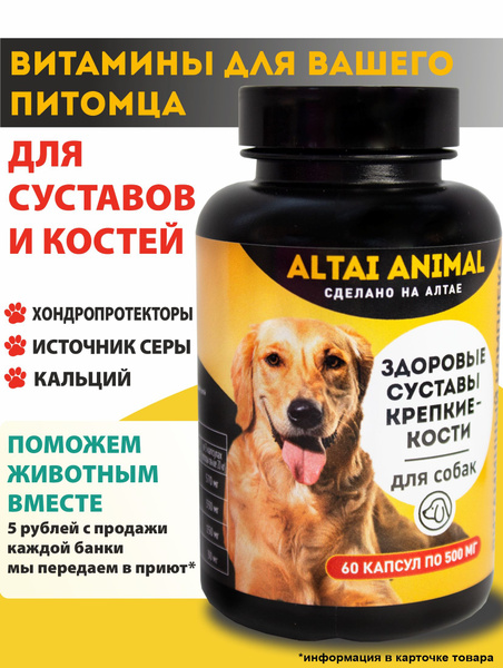 Витамины для собак для суставов и связок - Комплекс Здоровые суставы ...
