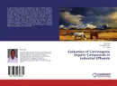 Evaluation of Carcinogenic Organic Compounds in Industrial Effluents - Pius Audu,Yau Mohammed and A. O. Aliyu