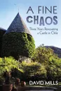 A Fine Chaos. Three Years Renovating a Castle in Chile - David Mills