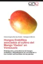 Hongos Endofitos Asociados Al Cultivo del Mango 'Haden' En Venezuela - Victoria Eugenia Morales Rond N., Rodr Guez G. Mariela, Rodriguez G. Mariela