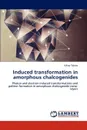 Induced Transformation in Amorphous Chalcogenides - Viktor Tak Ts, Viktor Takats