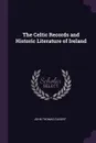 The Celtic Records and Historic Literature of Ireland - John Thomas Gilbert