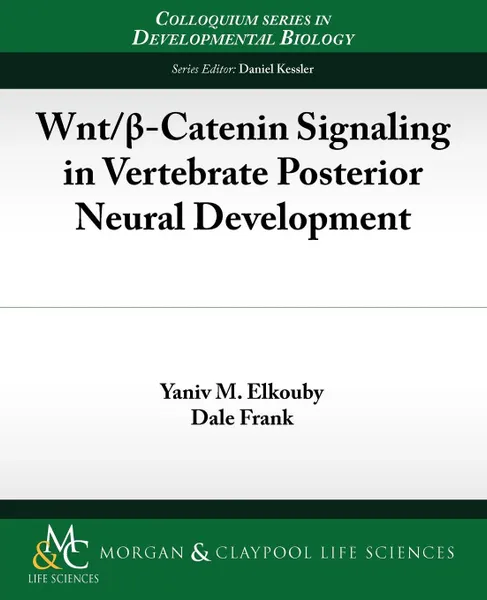 Обложка книги Wnt/ -Catenin Signaling in Vertebrate Posterior Neural Development, Yaniv Elkouby, Dale Frank