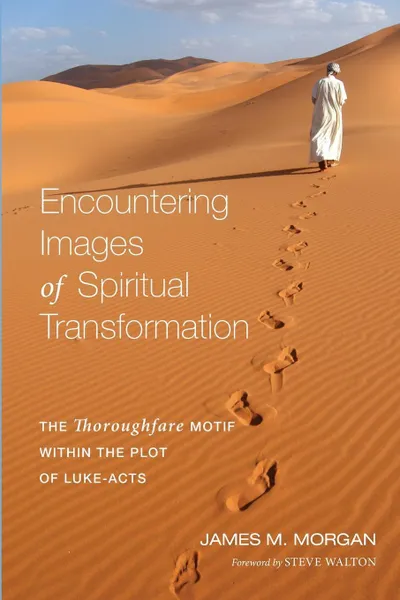 Обложка книги Encountering Images of Spiritual Transformation. The Thoroughfare Motif Within the Plot of Luke-Acts, James M. Morgan