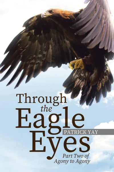 Обложка книги Through The Eagles Eyes. Part Two of Agony to Agony, Patrick M Yay