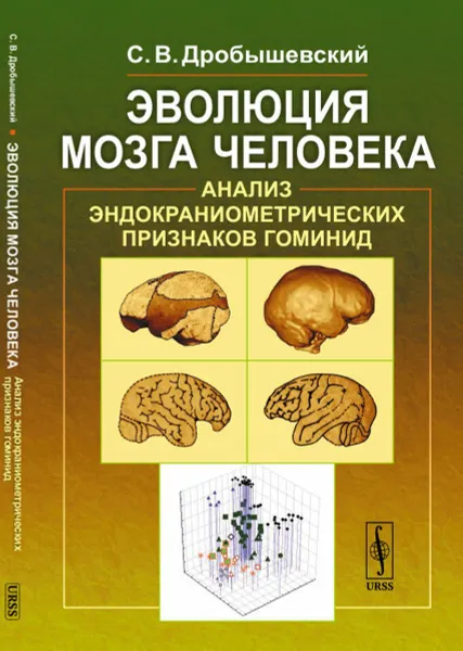 Обложка книги Эволюция мозга человека: Анализ эндокраниометрических признаков гоминид / Изд.4, стереотип., Дробышевский С.В.