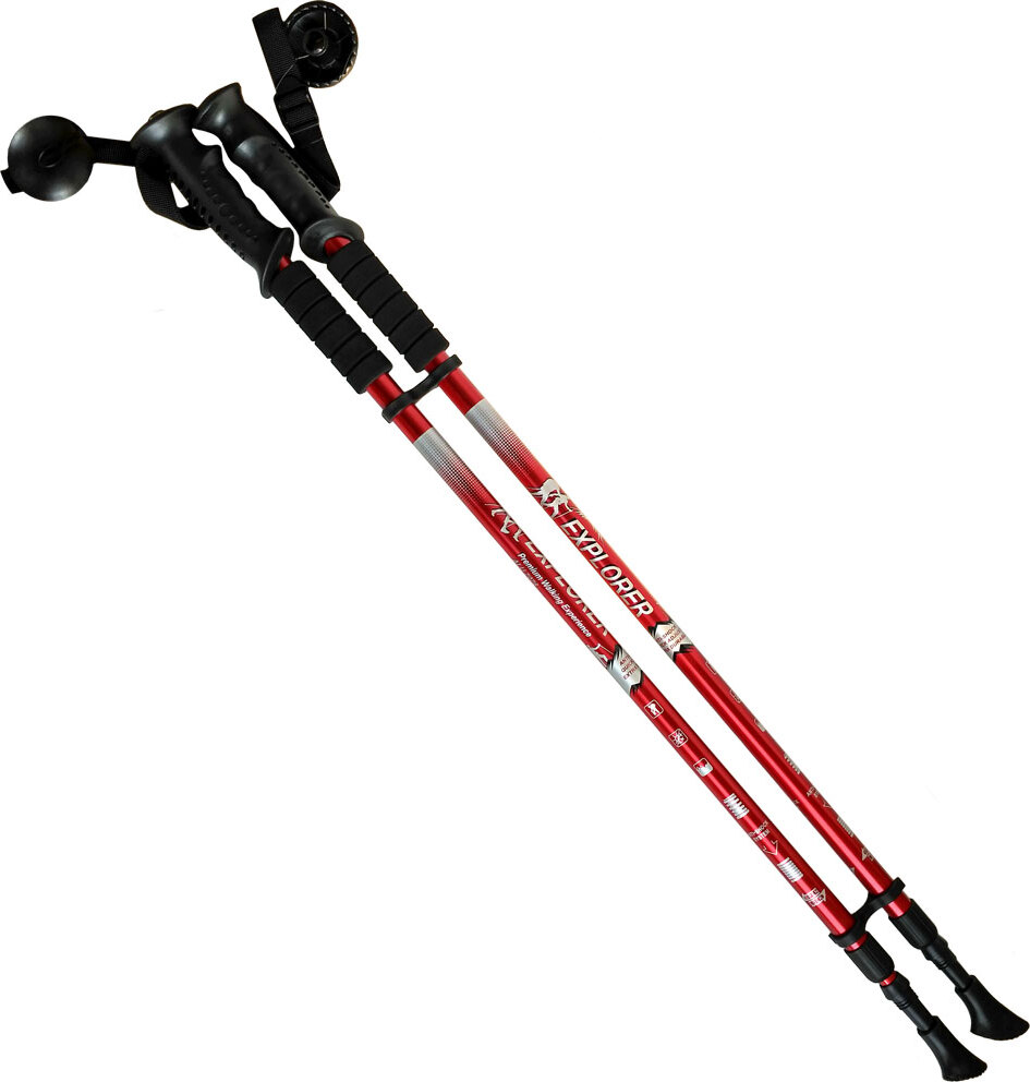 фото Палки для скандинавской ходьбы Hawk R18140 PRO 2-х секционные телескопические с чехлом красные