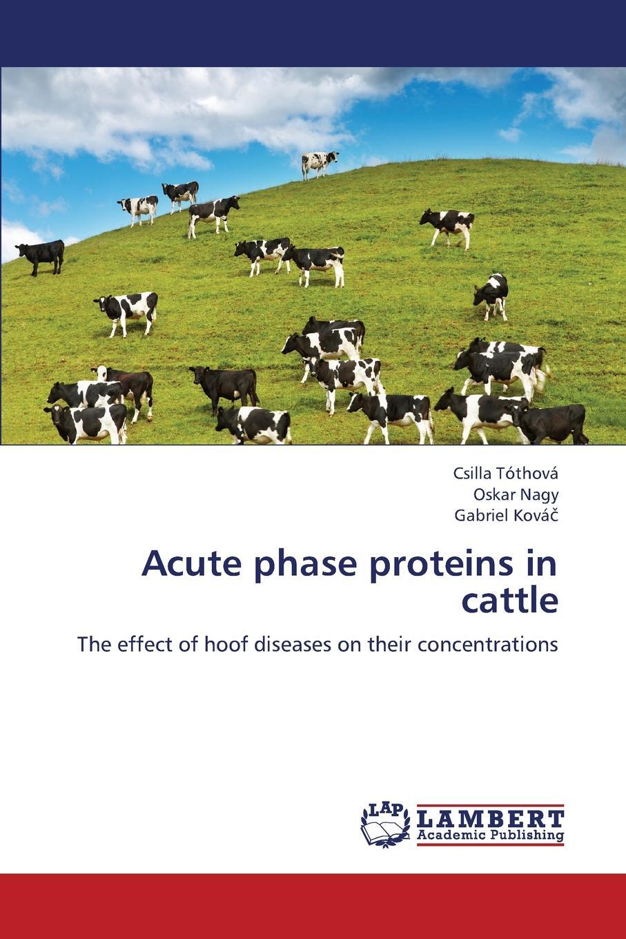 Протеин корова. Reproduction System of Cattle. Dairy техника.