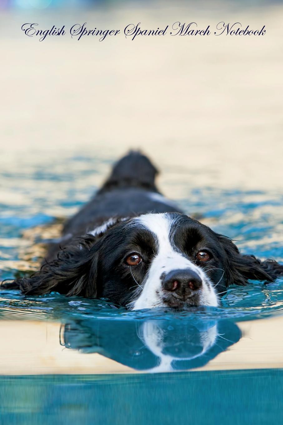English Springer Spaniel March Notebook English Springer Spaniel Record, Log, Diary, Special Memories, To Do List, Academic Notepad, Scrapbook & More. Spaniel World English Springer Spaniel March Notebook English Springer Spaniel Record, Log, Diary, Special Memories, To Do List, Academic Notepad, Scrapbook & More. Spaniel World