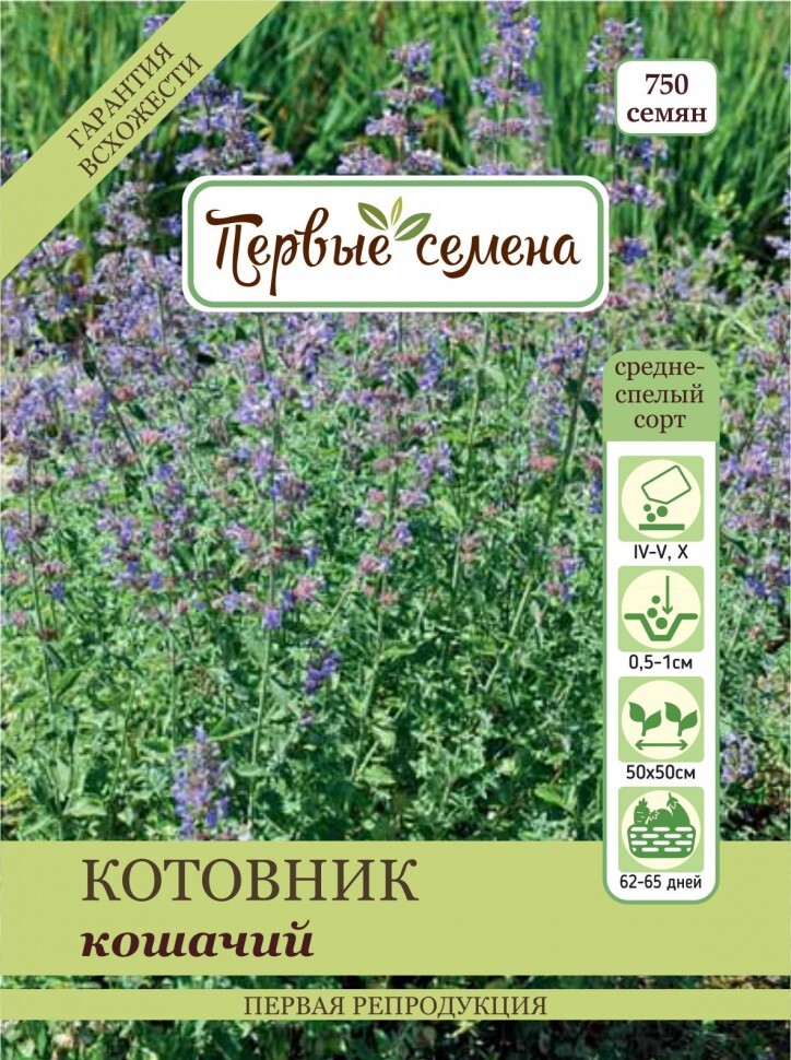 Котовник кистевидный Лавиль Гавриш (97705): купить семена почтой в России интерн