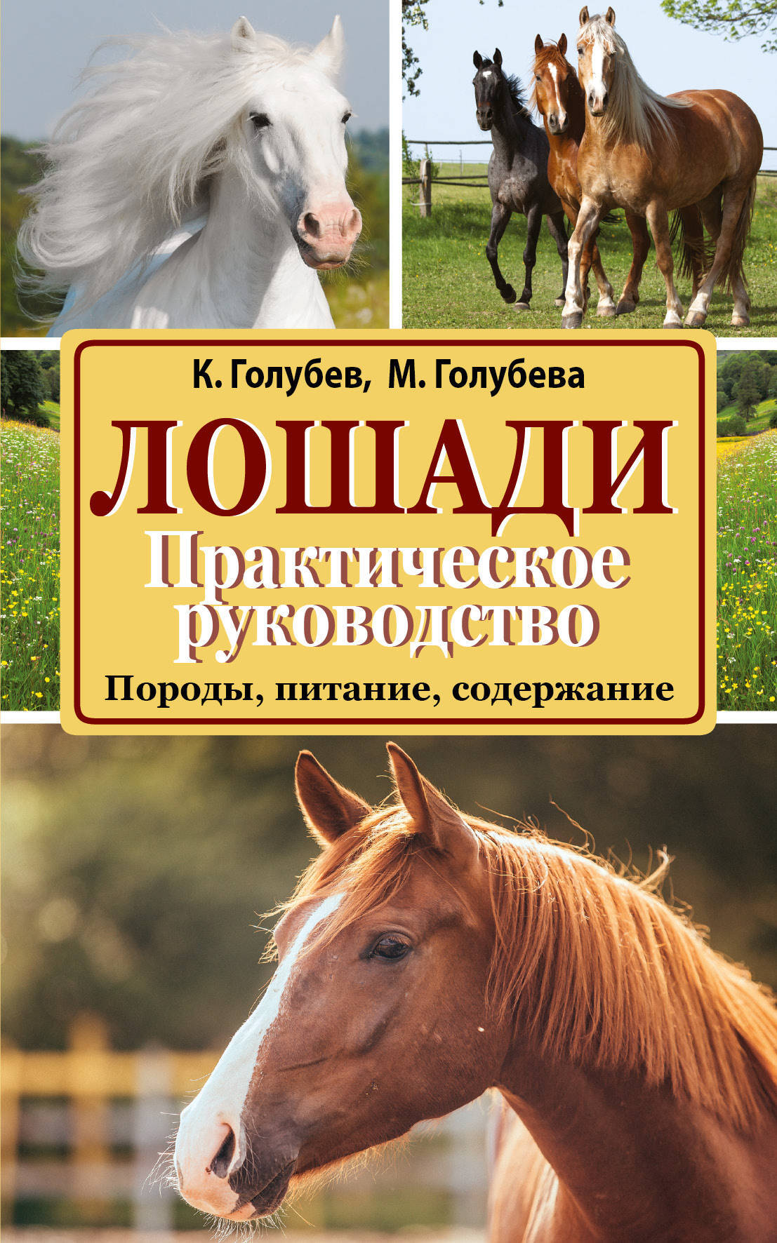 Купить книгу лошади. Книги про лошадей. Книга кони. Книги про лошадей Художественные. Книги Художественные про коней.