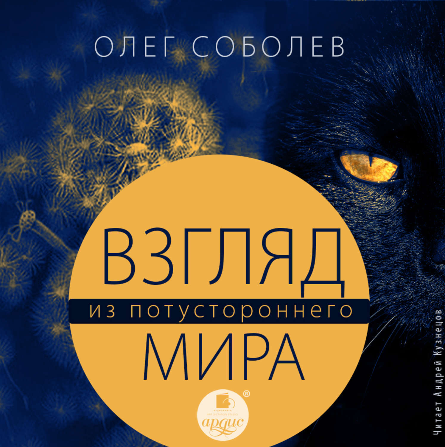 Взгляд из вечности 2014. Взгляд слушать аудиокнигу. Оккультизм взгляд под маску. Взгляд слушать аудиокнигу. Взгляд слушать аудиокнигу.