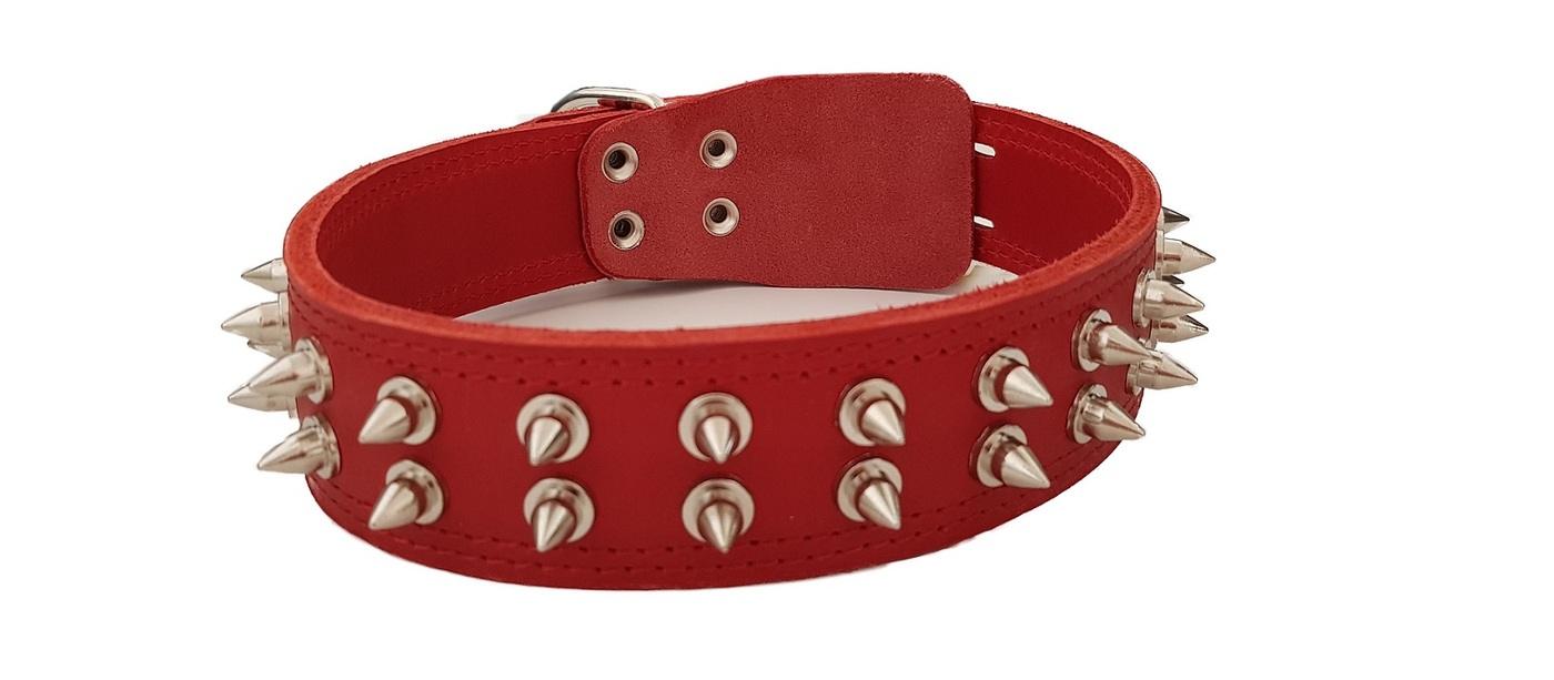 Купить Ошейник С Шипами Для Собаки
